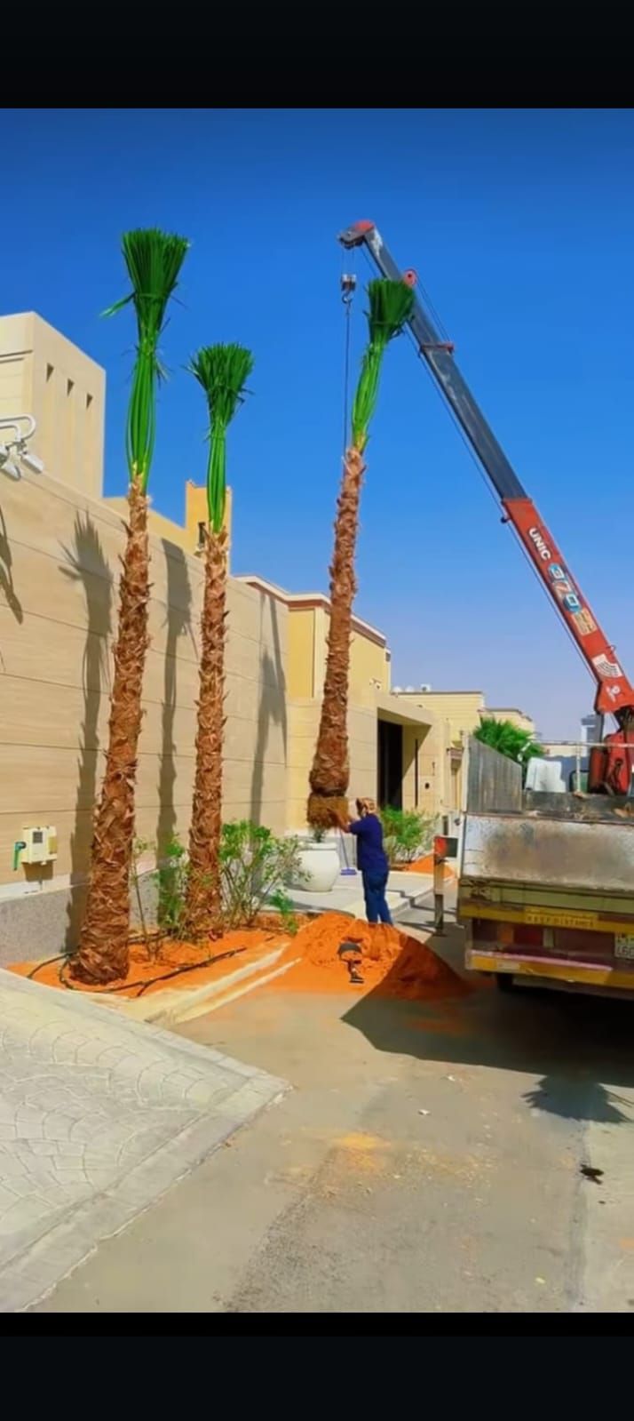 أبو صالح لجميع انواع انخل الوشنطن والعربي وجميع اع