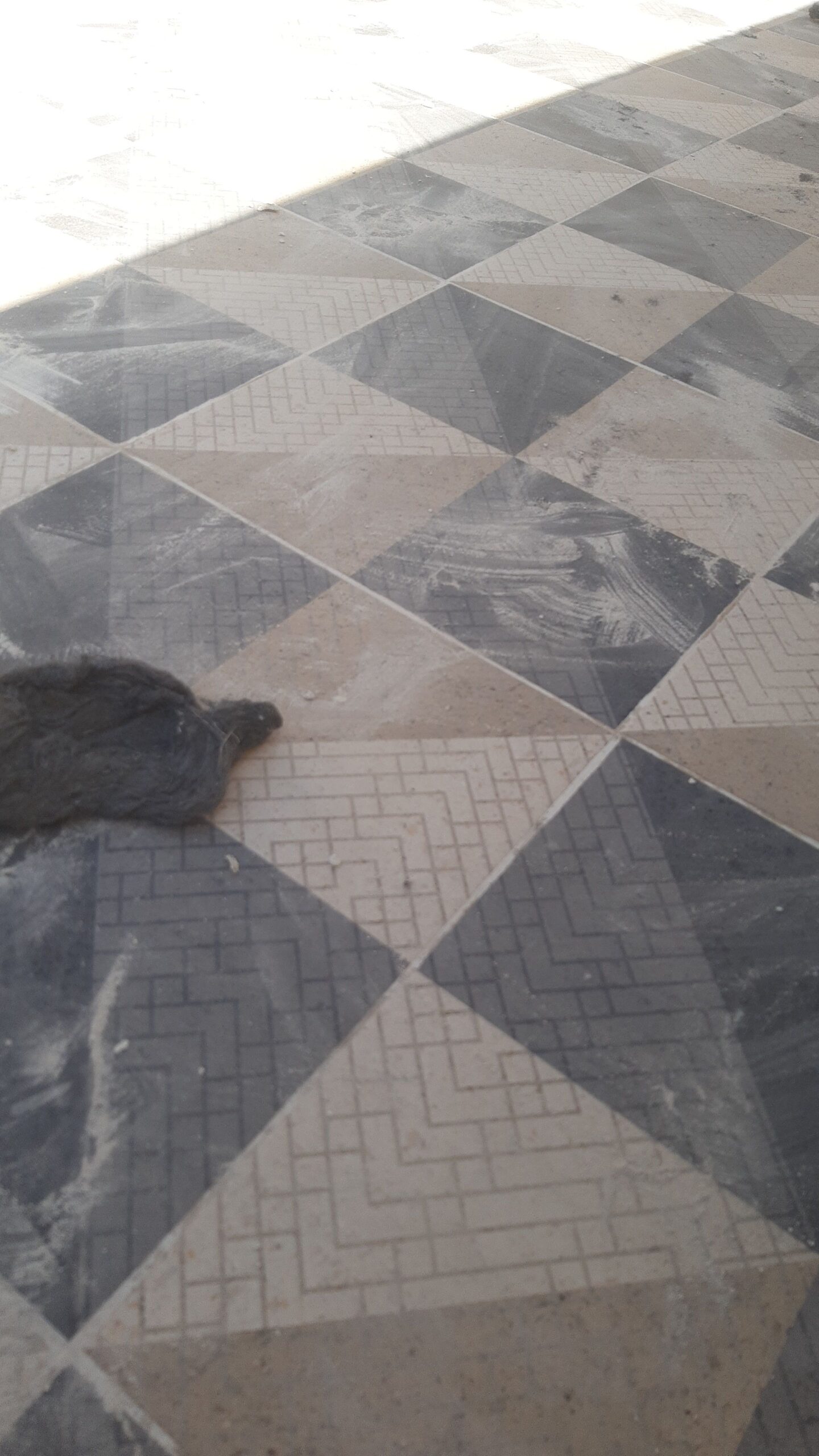 مبلط سراميك بخميس مشيط