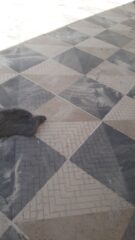 78562daa-9c80-416a-a327-13d9245297fc