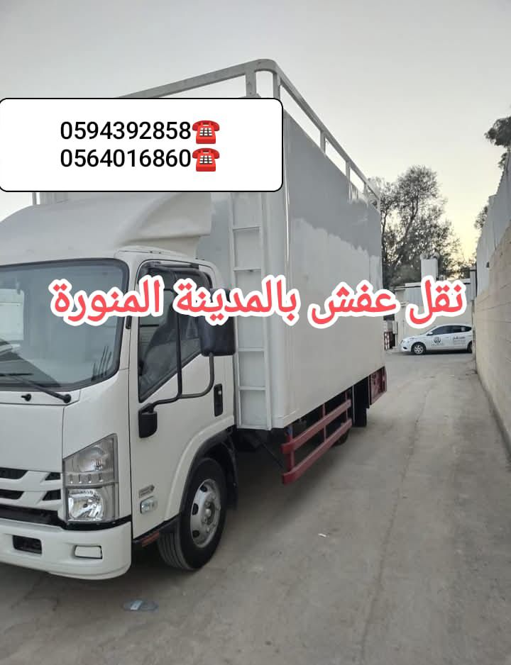 نقل عفش مع الفك والتركيب والنقل وتغليف بالمدينة ال