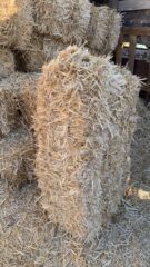 D63EF11B-C017-4FF8-94C8-88161A3AC979