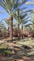 b289d48d-3cc5-40eb-99c1-079c042b6dd5