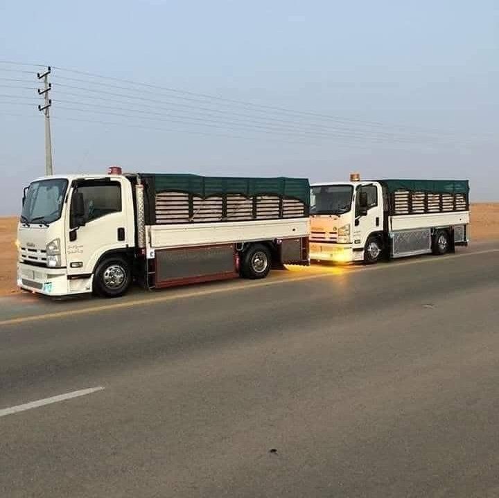 دينا طش الاثاث القديم بالرياض0537486934