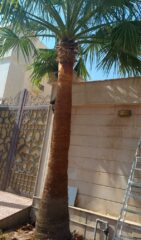 de007cbe-ff30-4be2-b783-ffd1e480bd42