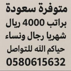 ff2e64c5-0ac0-44ca-a476-51a9087ebd0a