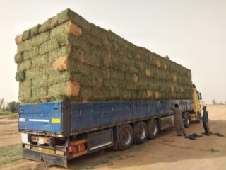 0718af9c-ee8e-44a2-a1ea-2ca62d46c072