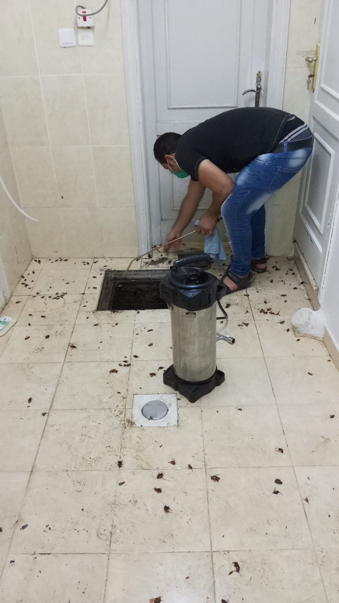 شركة مكافحة الصراصير والقضاء عليها