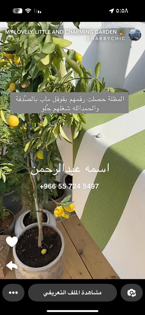 تفاصيل الخيام مظلات