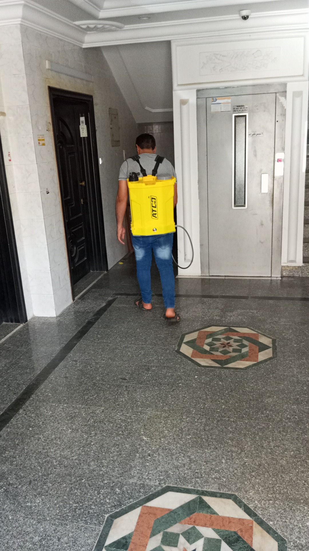 خدمات نظافه بالبخار ورش حشرات متكاملة