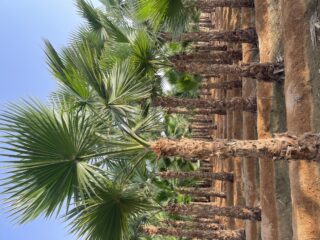 5B414E37-73A3-426F-A12E-755A8956138C