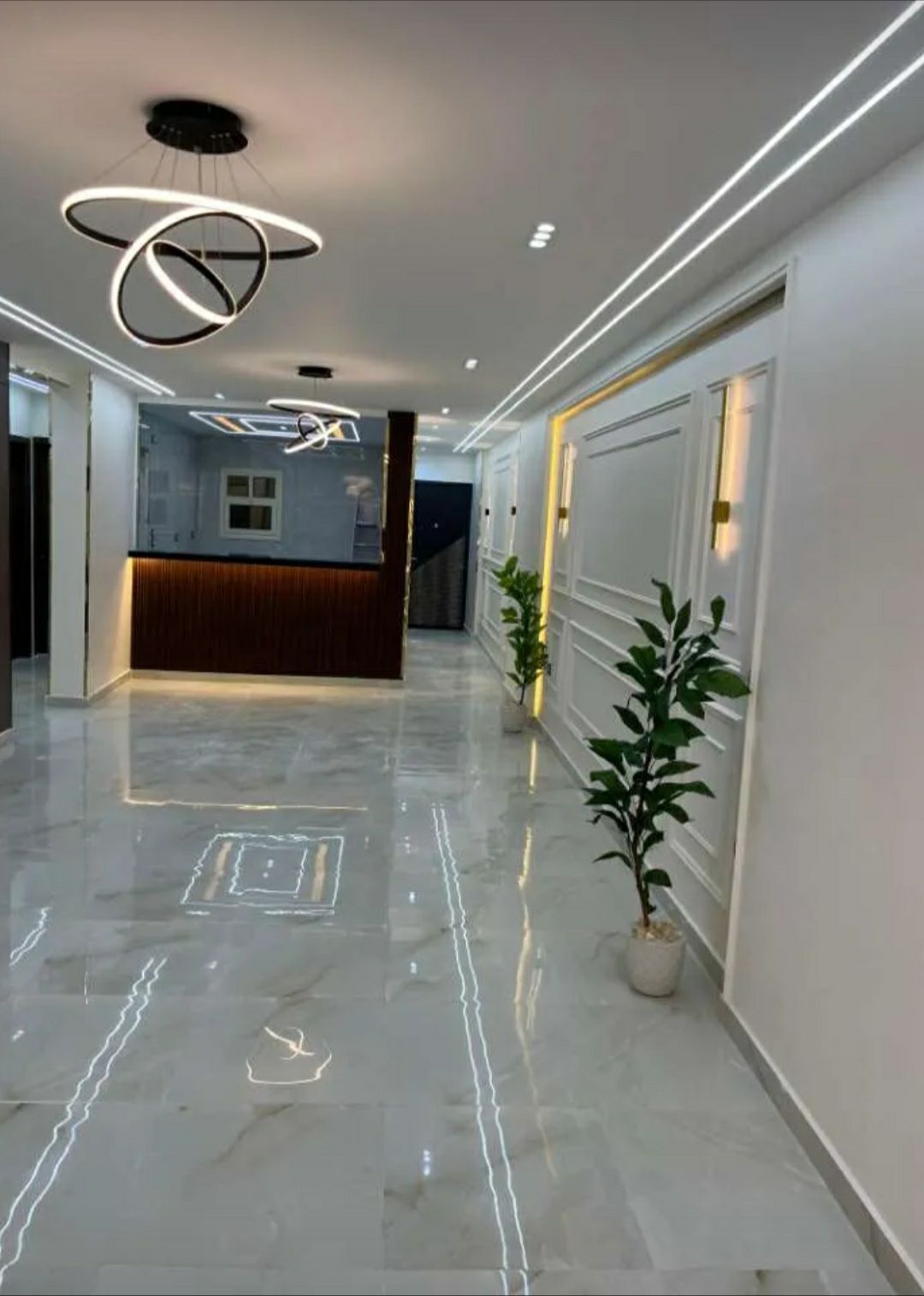 كامل مناطق جده