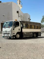 96e02c81-2478-4b83-a2f9-34d900ef1c6e