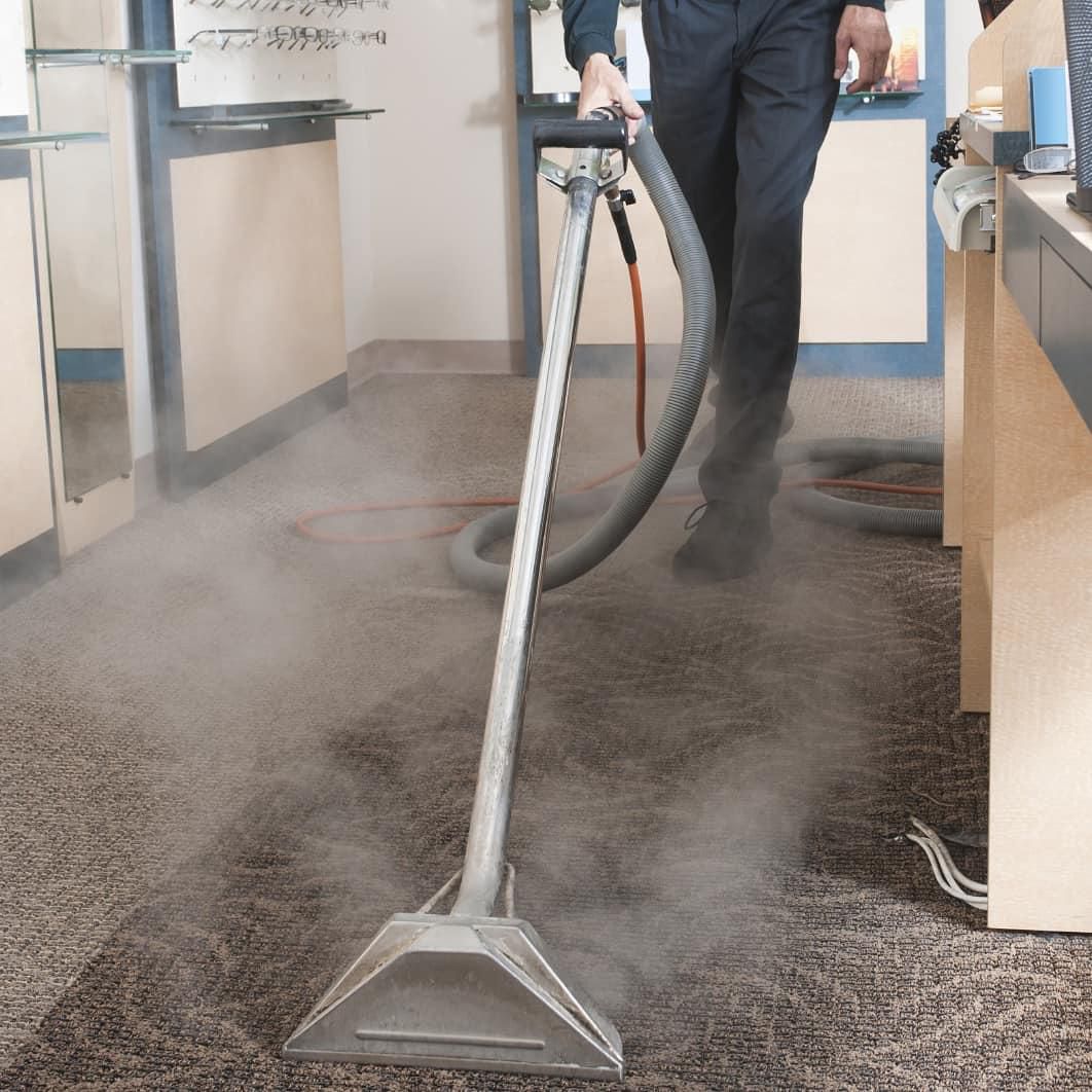 شركة مكافحة الصراصير والقضاء عليها