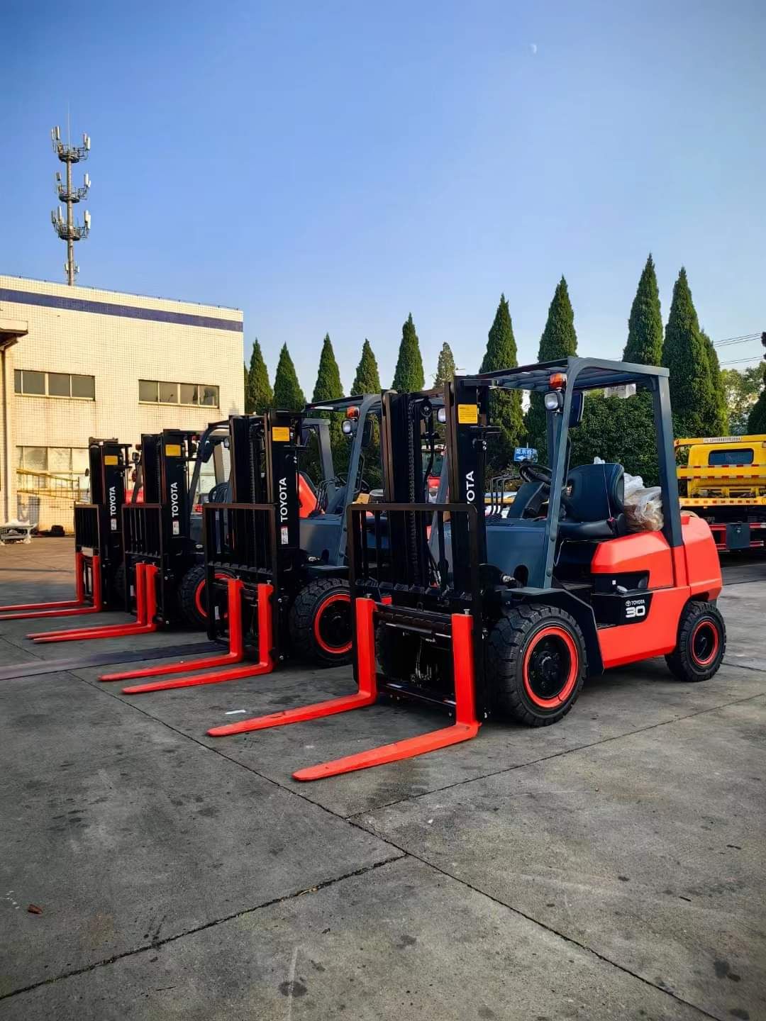 المدينه المنوره