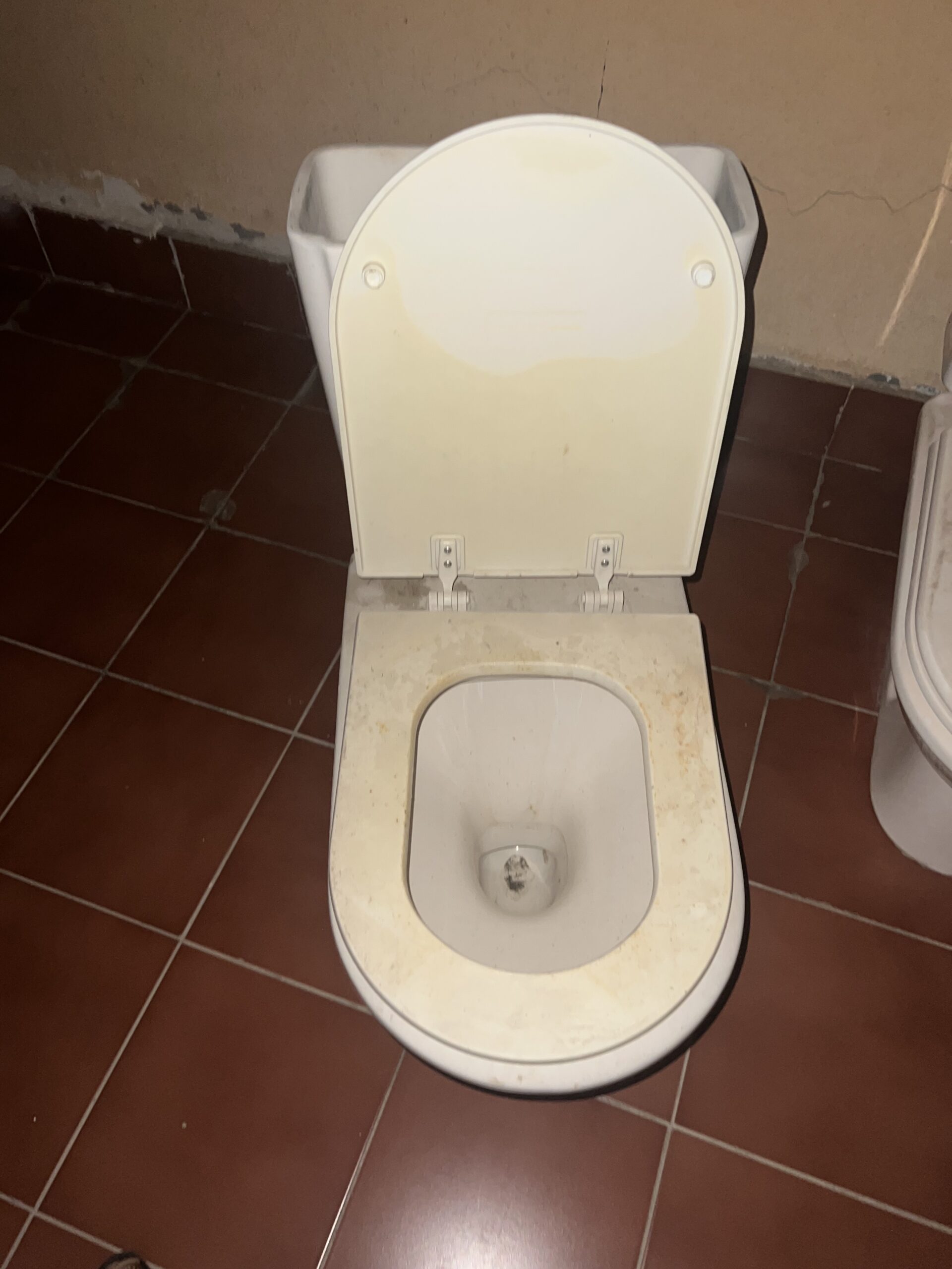 كراسي و مغاسل نظيفه بس عليها غبره و كلها سليمه ماف