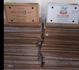 93705c1c-d9b4-4ed4-8a89-dd7c24e5fdbc