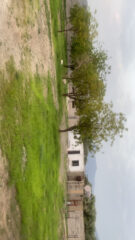 FDF09D6E-308D-481A-BD6D-F9CFDB26F8D0