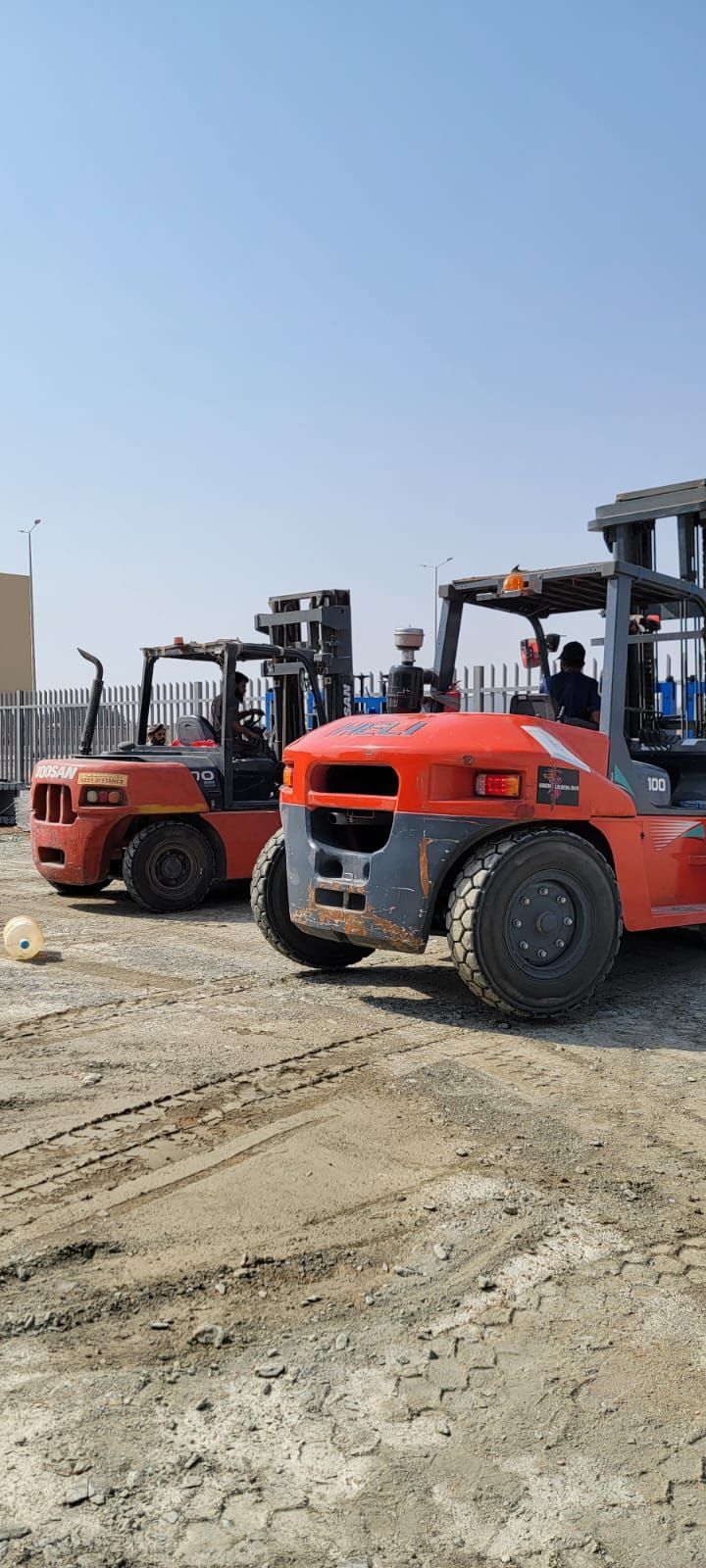 المدينة المنورة