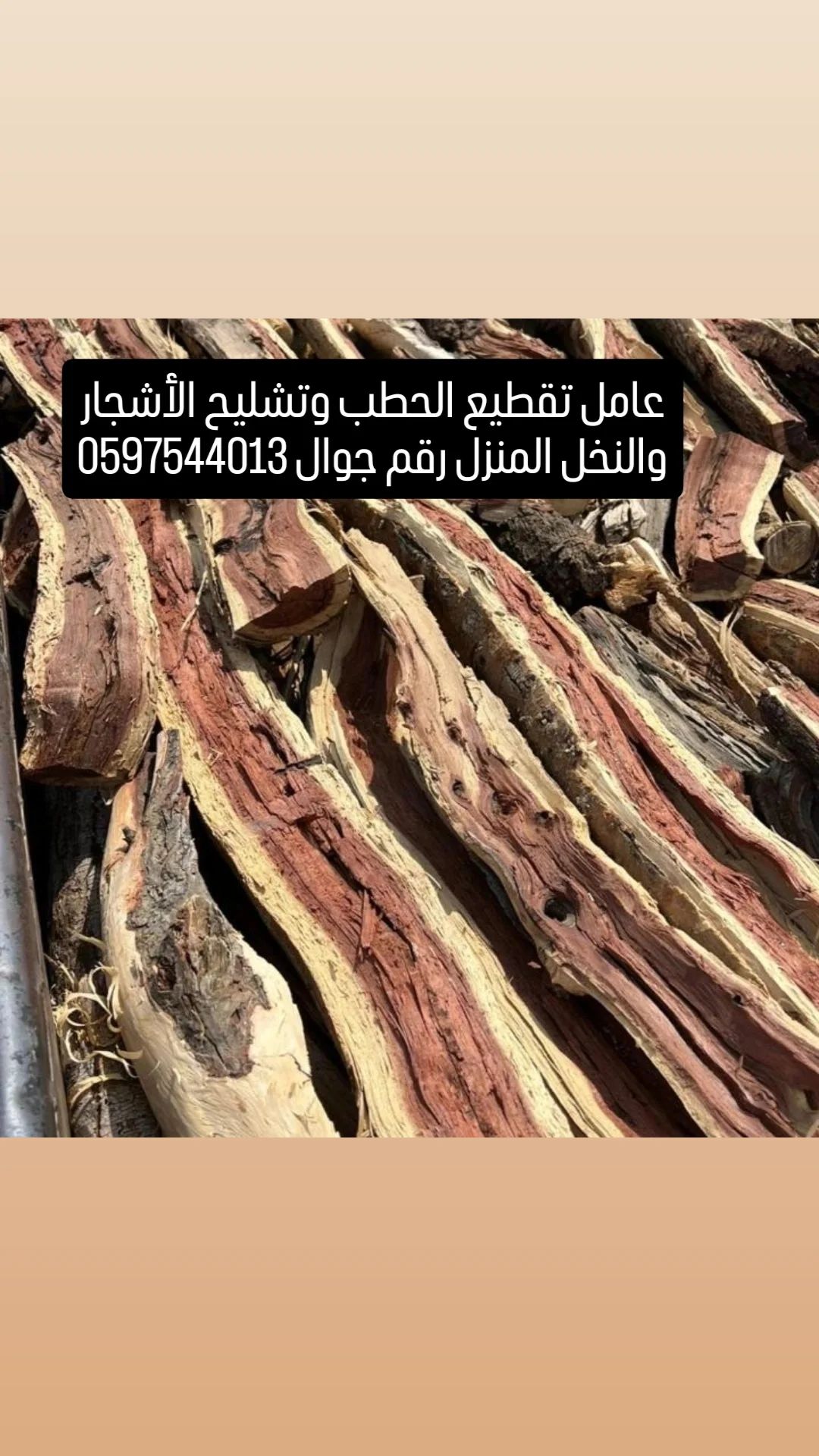 عامل تقطيع الحطب وتشليح الأشجار والنخل