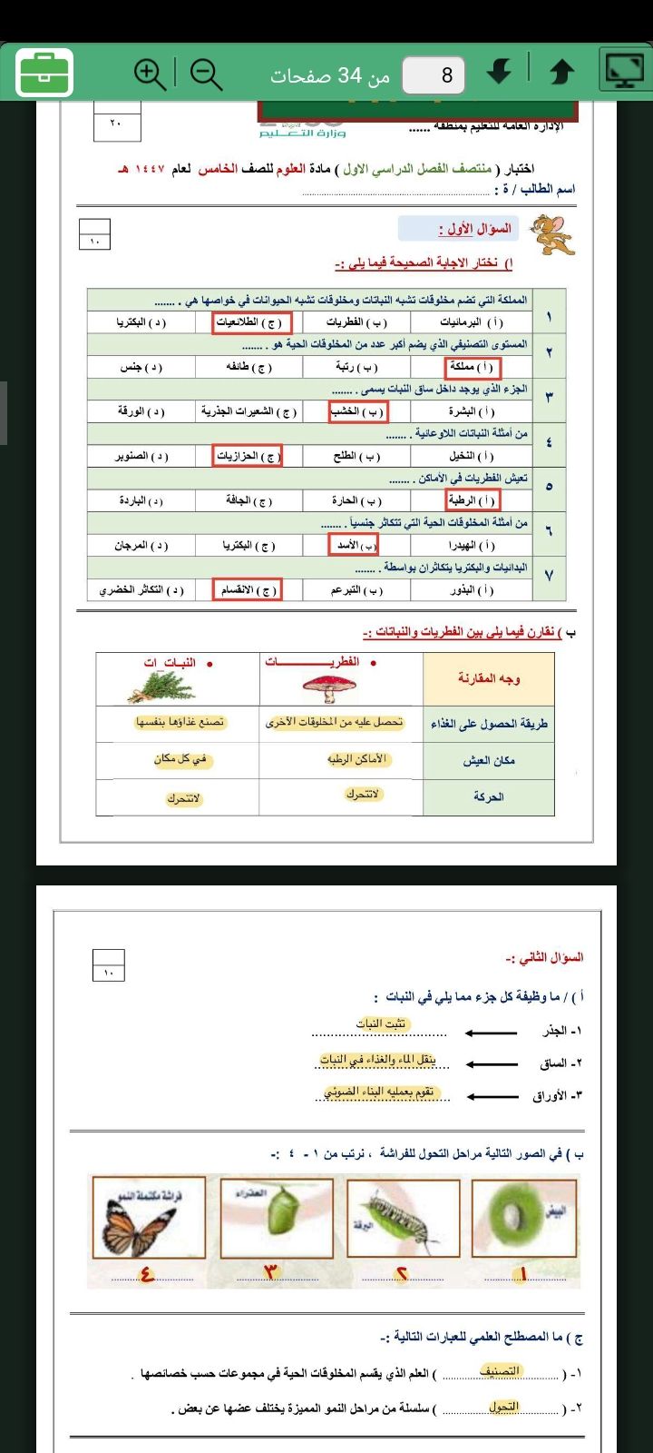 الرياض حي الأندلس
