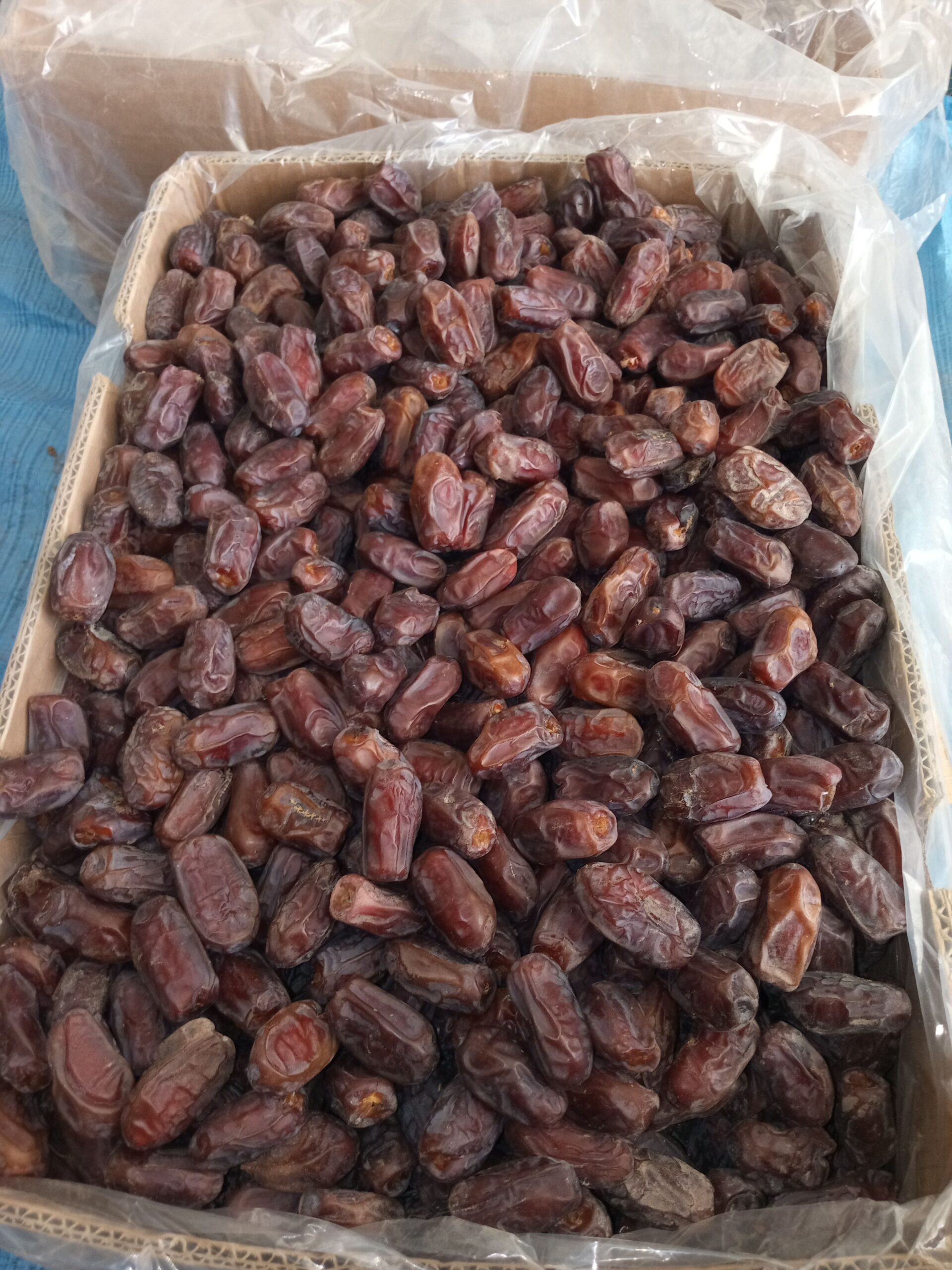 متوفر لدينا خضري 100طن خام