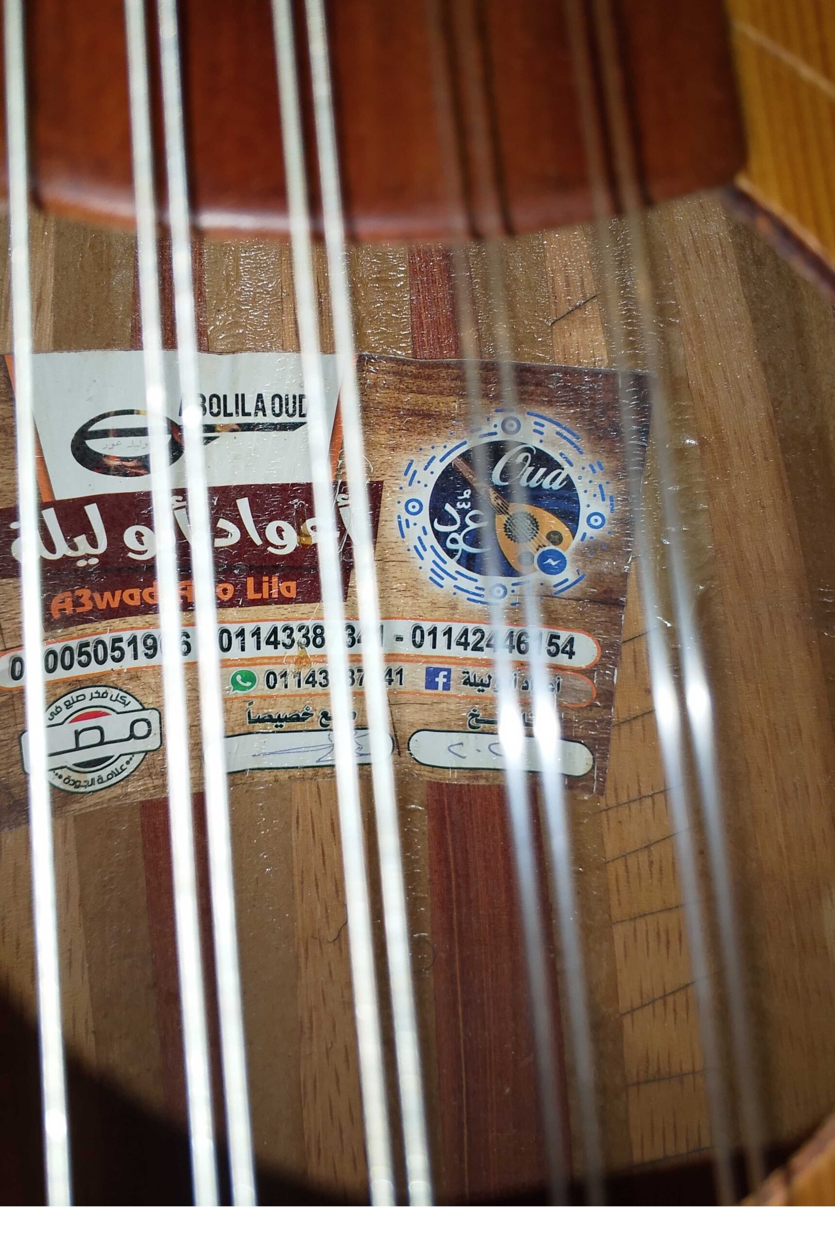 الخبر العقربيه