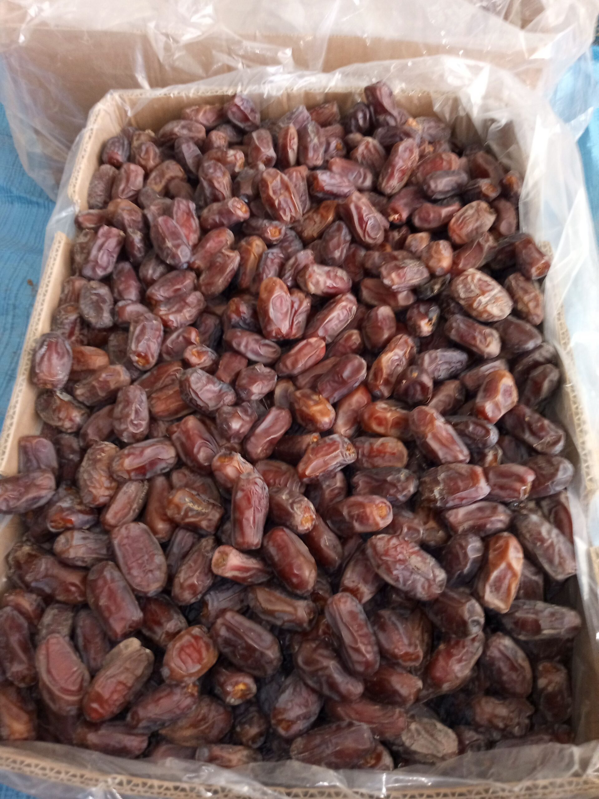 متوفر لدينا خضري 100طن خام