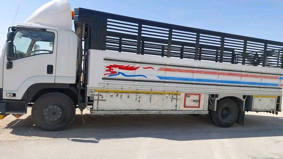 دينا طش نظافة مستويات وشقق وسطح من الاثاث القديم ب