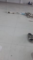 7b593bca-a12c-45d5-9e6b-66e25d5f9e8e