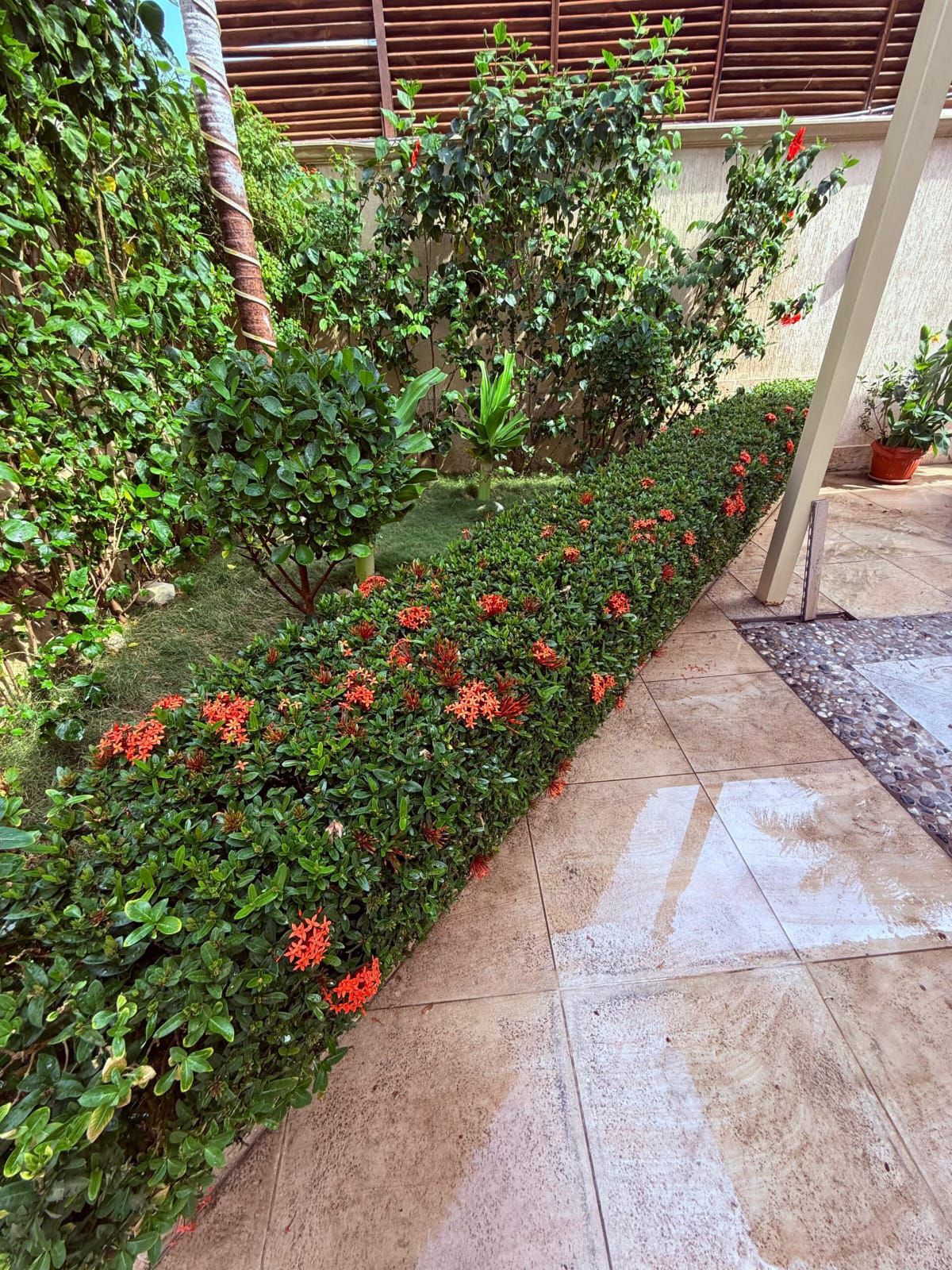 تنسيق حدائق جدة ومكة