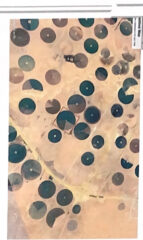 93E296ED-F2F6-47A2-BDDF-99FFDEA31247