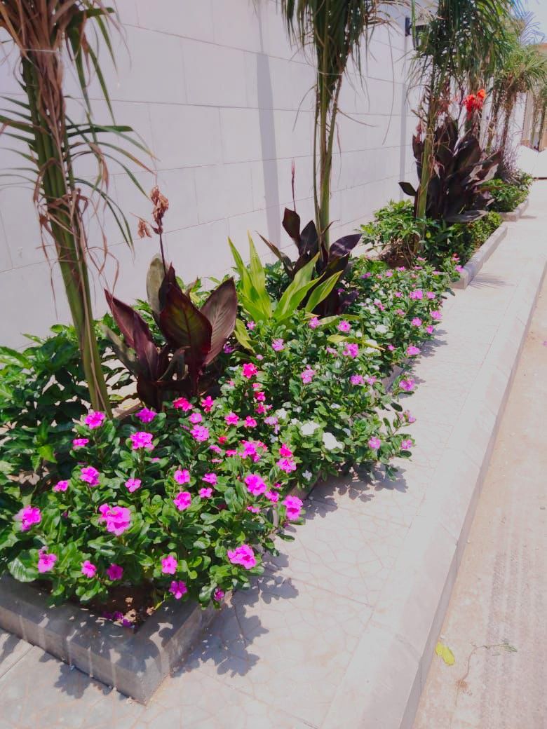 تنسيق حدائق جدة ومكة