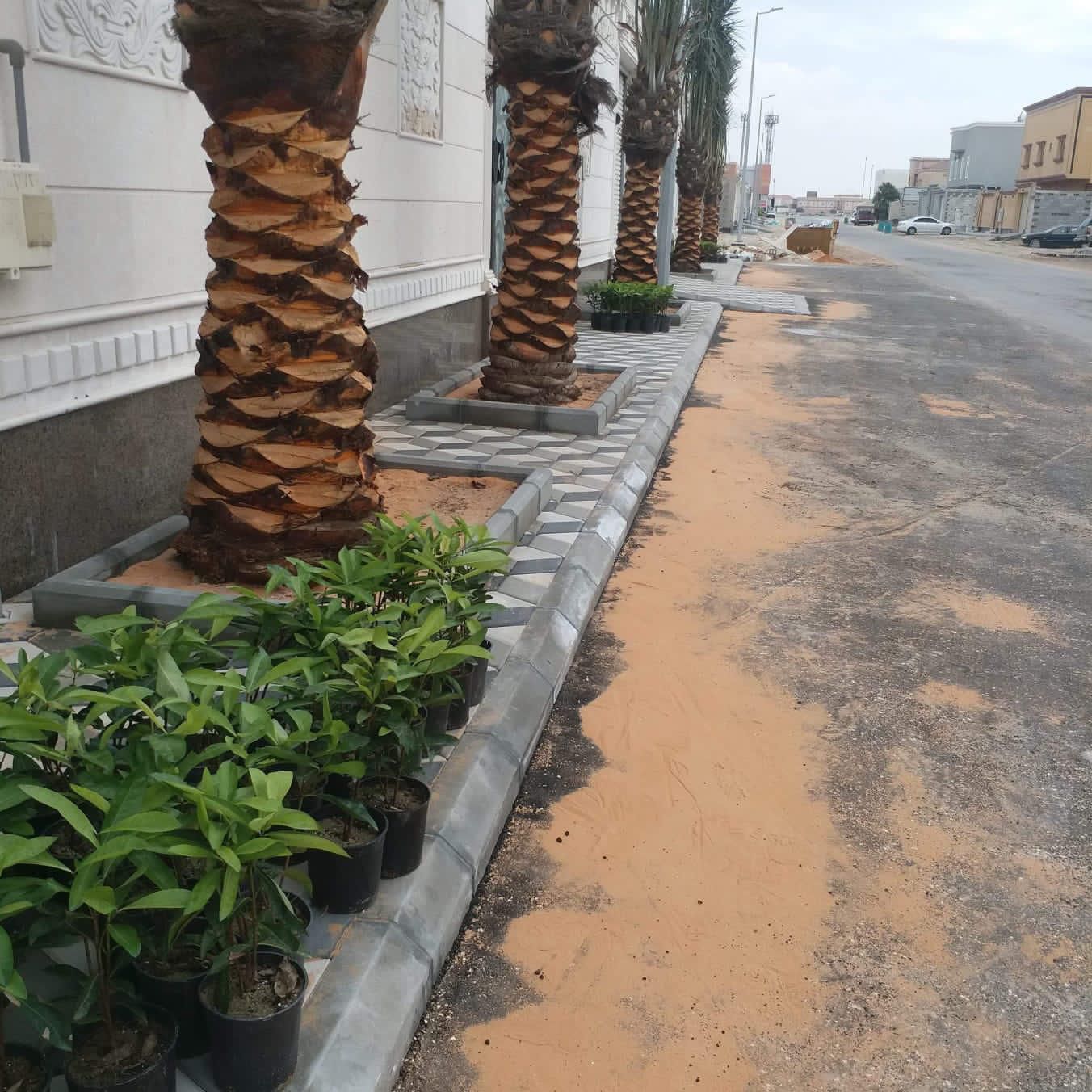 تنسيق حدائق جدة ومكة