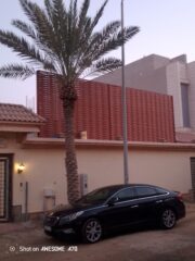 bf88b3ae-c758-49d9-9205-2cd5818a8041