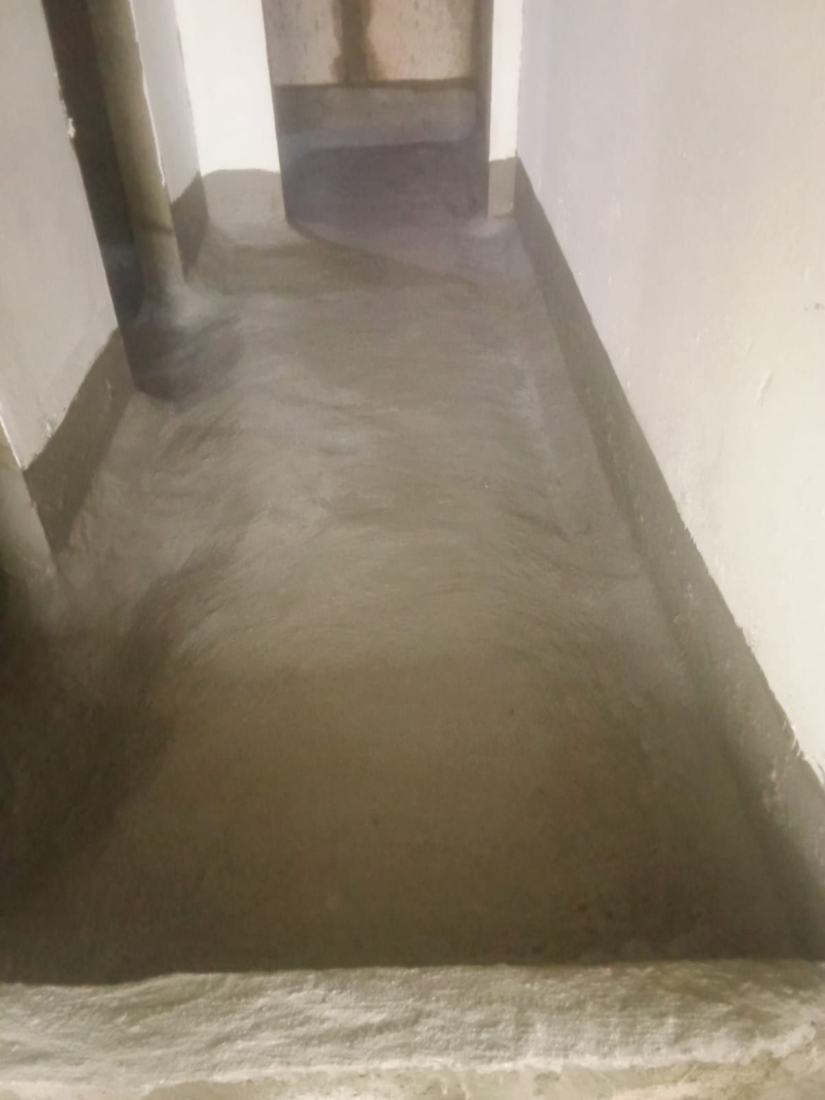 الرياض الفرزدق