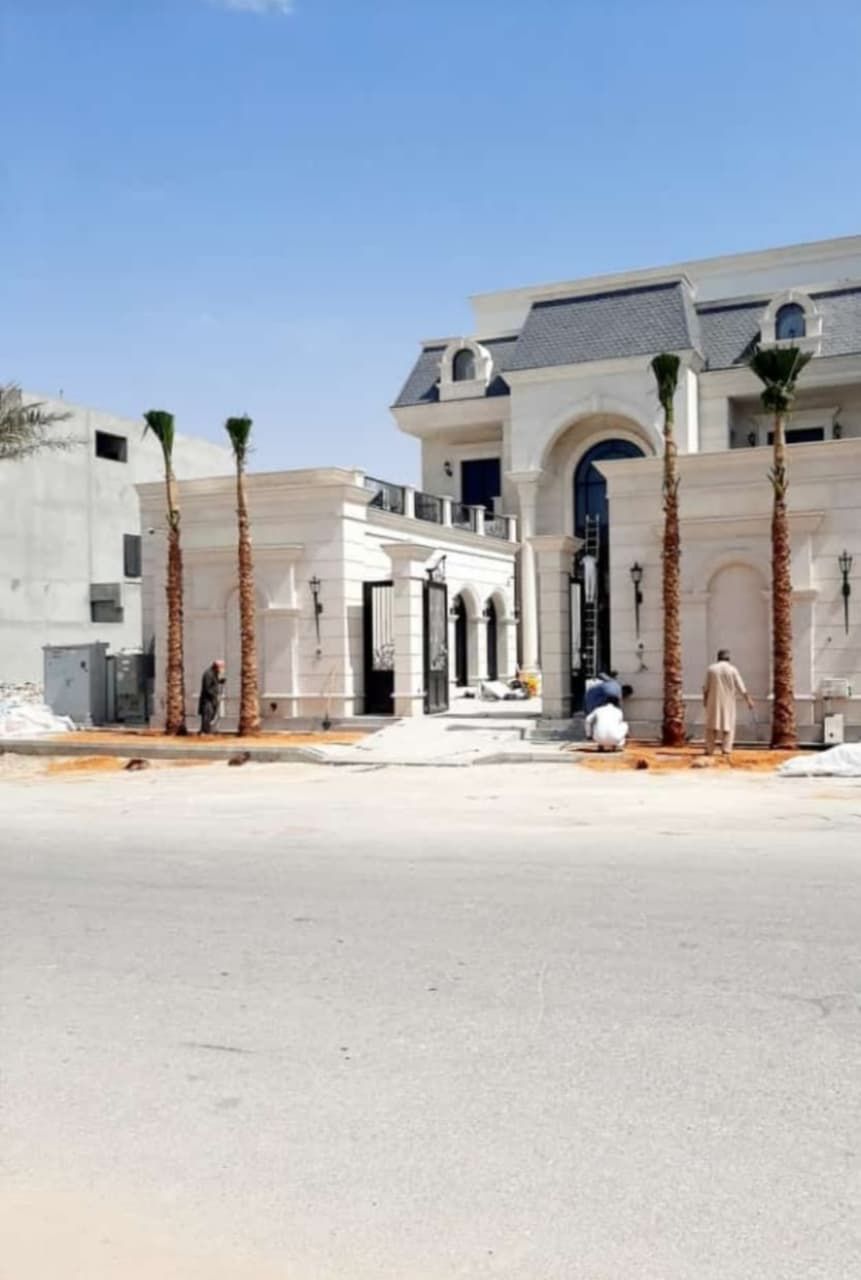 نخل وشنطونيا لزينت القصور والفلل والاستراحات والبي