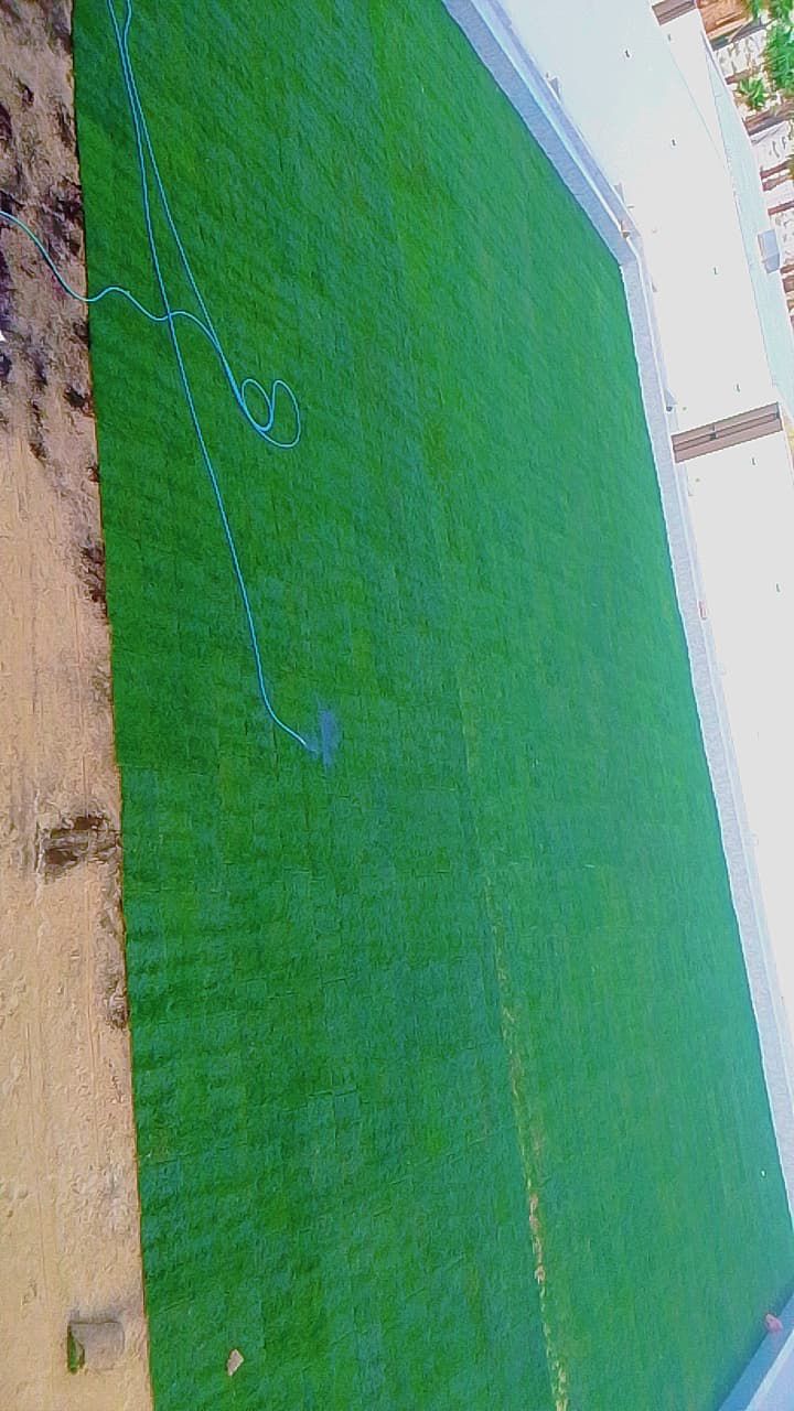 نخل مثمر للبيع ونخل زينه وكماء يوجد لدينا قسم خاص