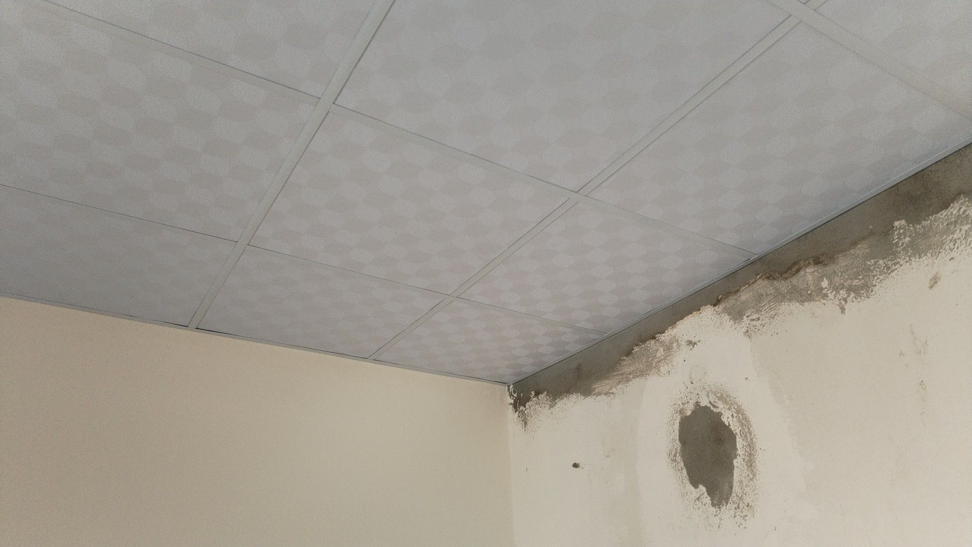 جده الروابي