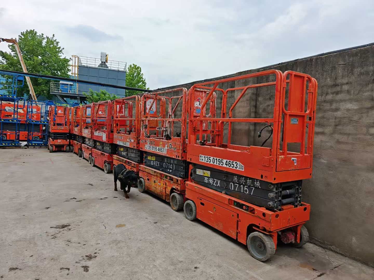 سيزرات لفت للايجار مانلفتات للايجار سيزر لفت للايج