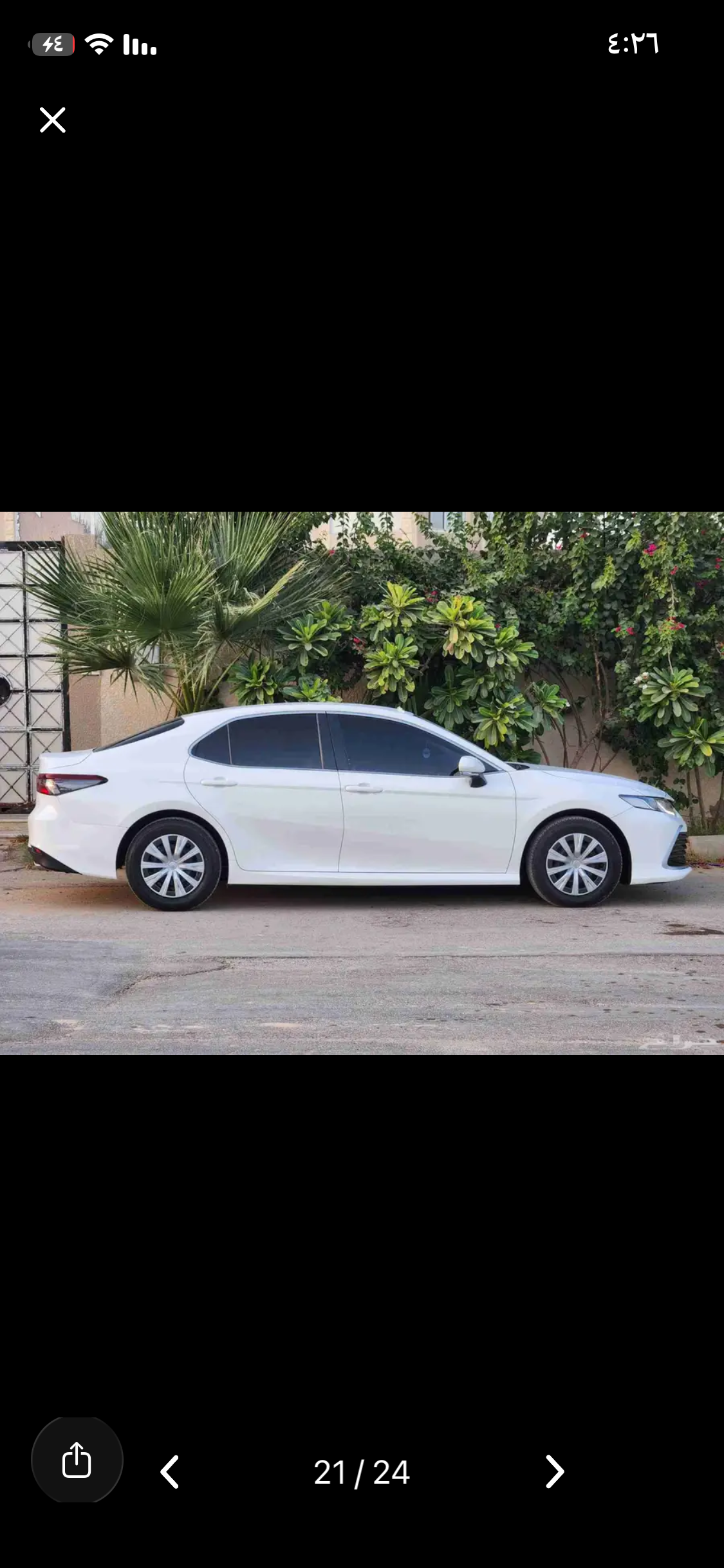 القصيم بريدة