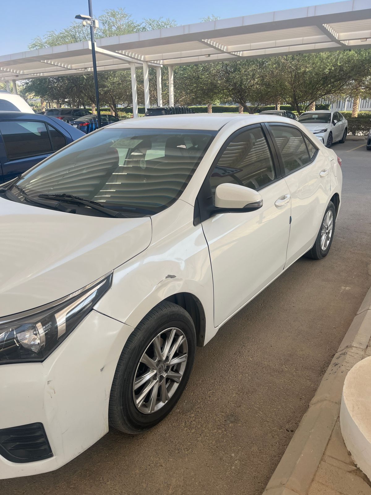 شمال الرياض