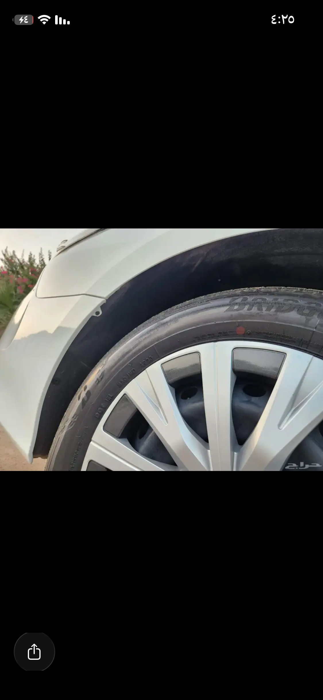 القصيم بريدة