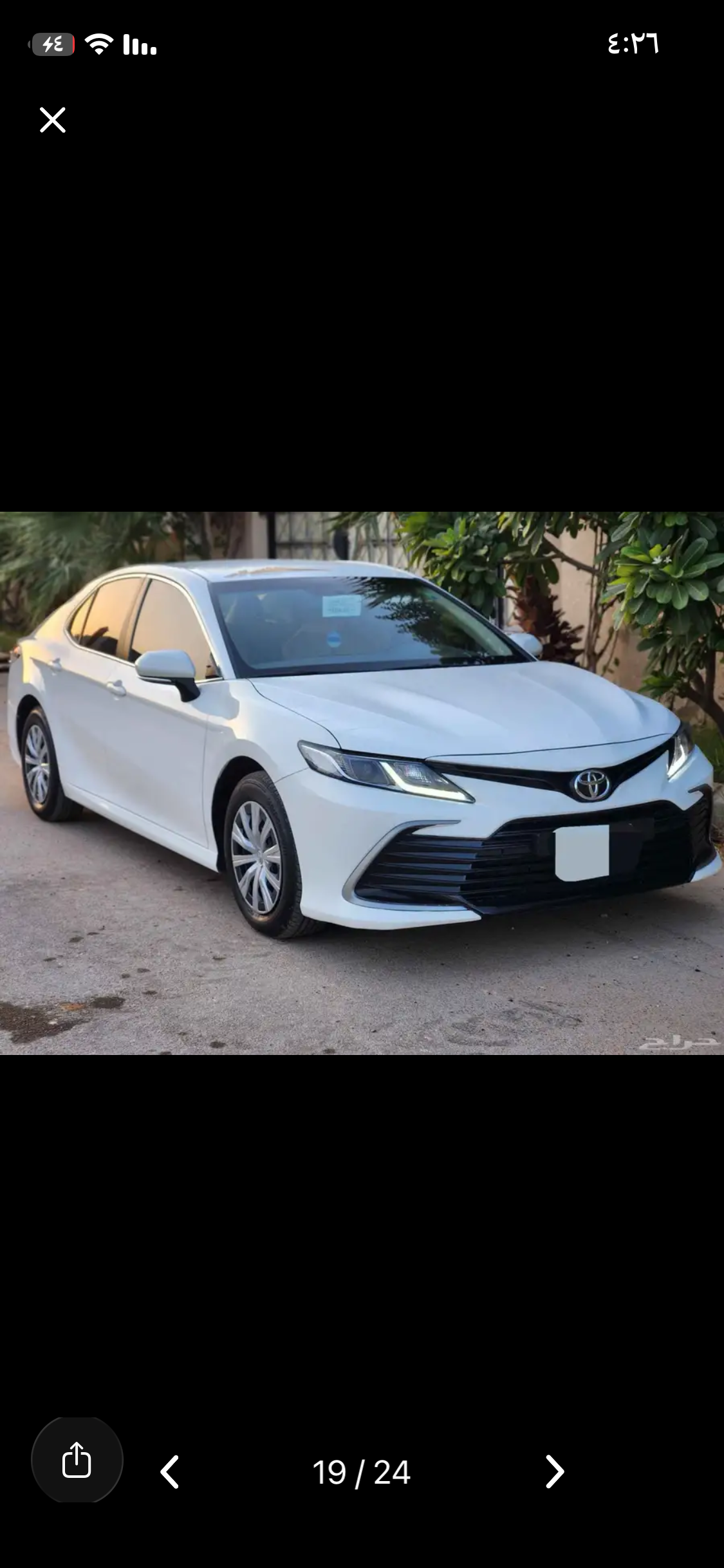 القصيم بريدة