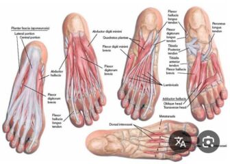 5e0b84a0-7dda-4a07-88a6-485573458777