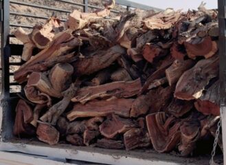 7A5CCE3D-777D-444D-8A1E-D7CBC6124EBA