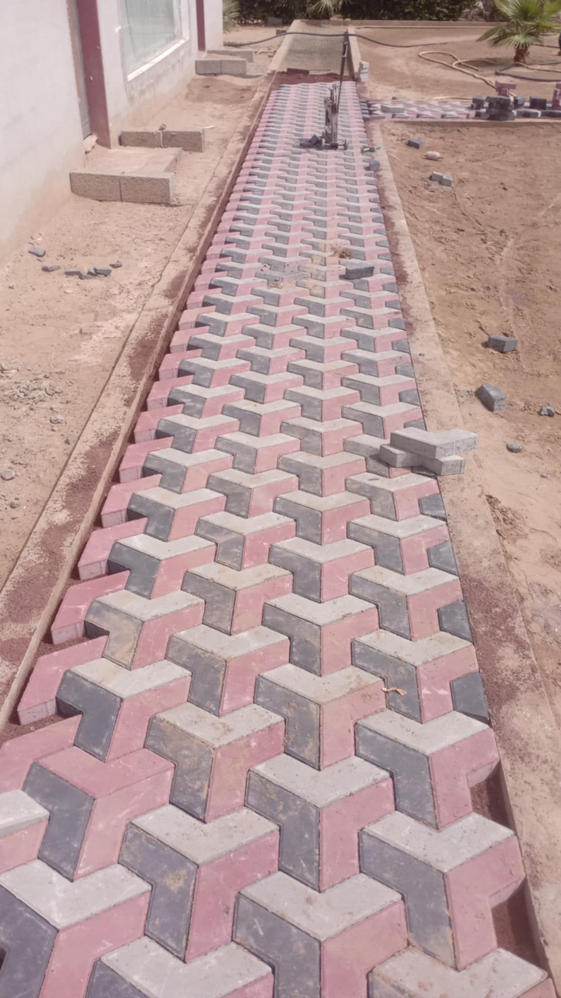 معلم بندورة ونترلوك جيزان ابوعريش صبيا