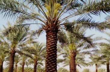 828a1c9e-baff-41b7-8753-712704dd0120