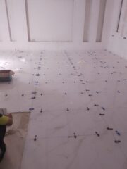 c832dd39-6a42-4055-9af4-3d8807a80c94