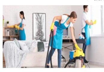 3c99e732-0c4b-4e67-8570-95f61dcd7c91