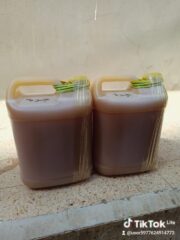 44f75a9d-b400-4f9d-a1ac-fb2b51542ae3